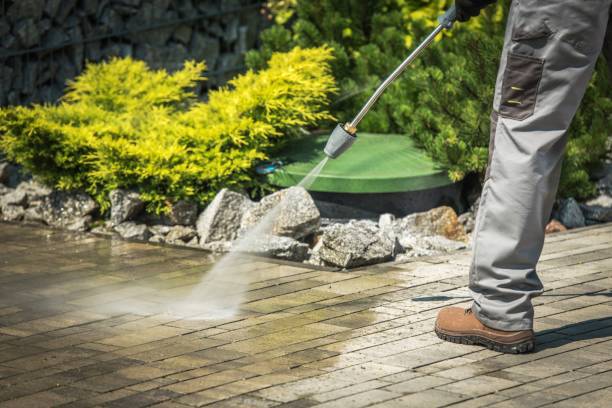 Best Gutter Cleaning  in Colesville, MD